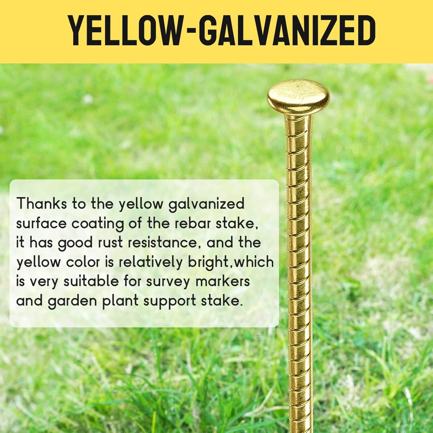 16 Inch Rebar Stakes - 1/2 Inch Diameter Galvanized Steel Ground Anchors - Heavy Duty Plant Support Garden Stake for Speed Bump, Wheel Stop, Tent (6 Pack)