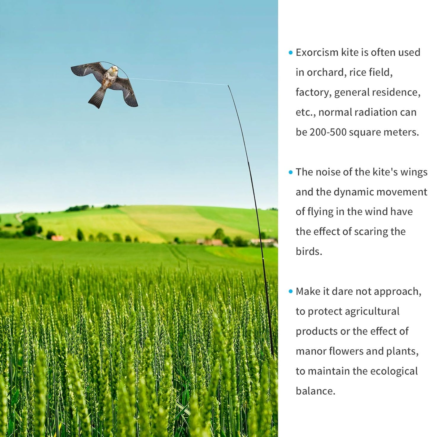 eyijklzo Bird Scarer Flying Kite Crops Farm Flying Bird Hawk Flying Kite