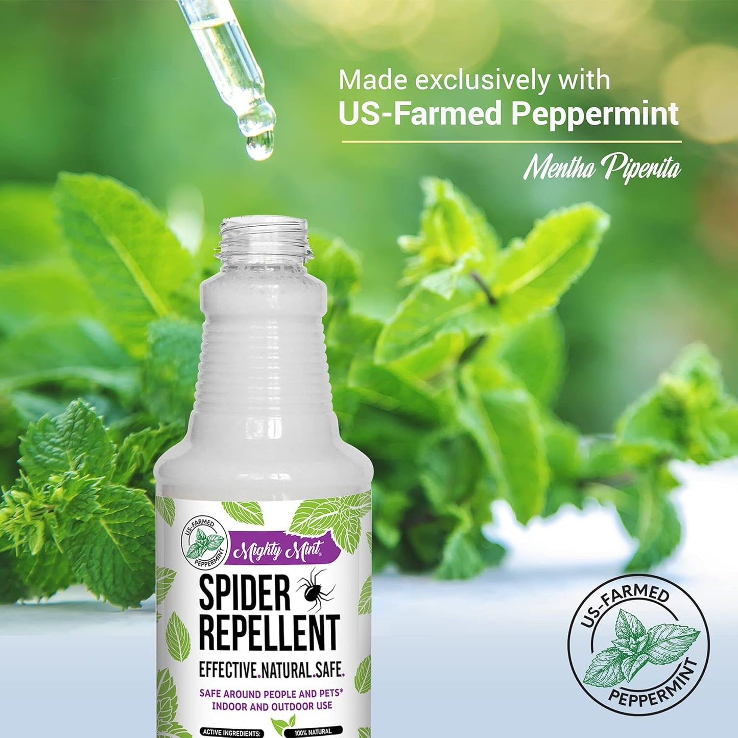 Mighty Mint Peppermint Oil Spider Repellent Spray – Natural Indoor & Outdoor Bug Control for Spiders and Insects – Plant-Based, Extra-Strong Formula - 16 oz