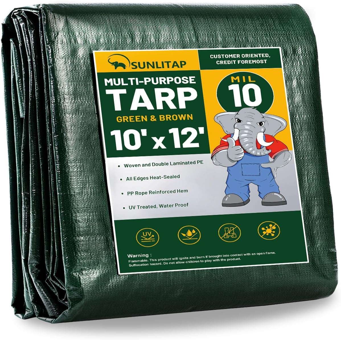 10 Mil Heavy Duty Waterproof Tarps, 10x12 Ft Finished Size Tarps, Premium Tarp with Metal Grommets & Reinforced Edge, Multipurpose Thick Poly Tarp for Car, Boat, Roof, Camping - Green