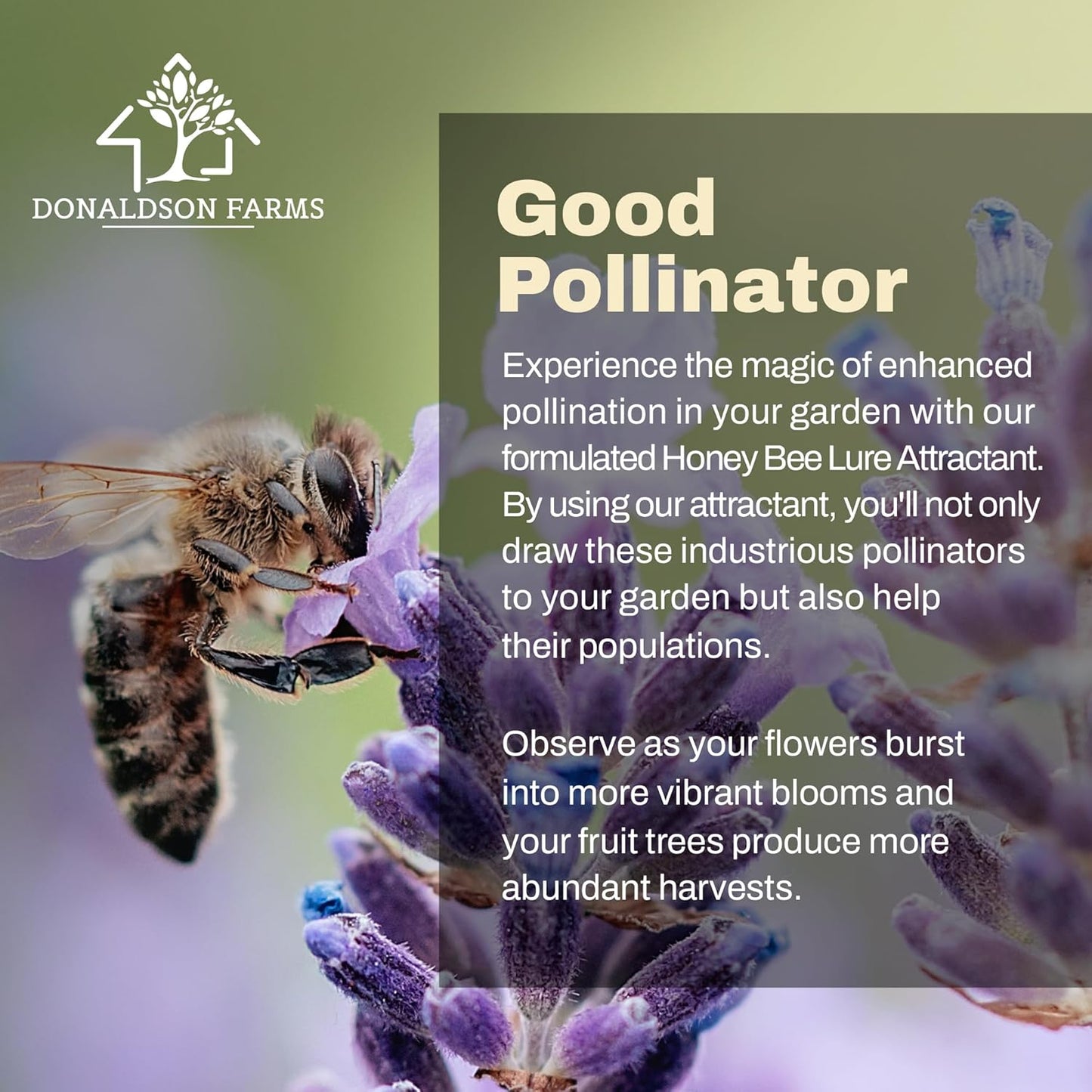 Honey Bee Attractant Spray - Bee Hive Lure for Gardens, Beehives, Flowers & Fruit Trees with Natural Lemongrass Oil Formula, Easy to Use for Beekeepers & Pollinator Support - 2 oz