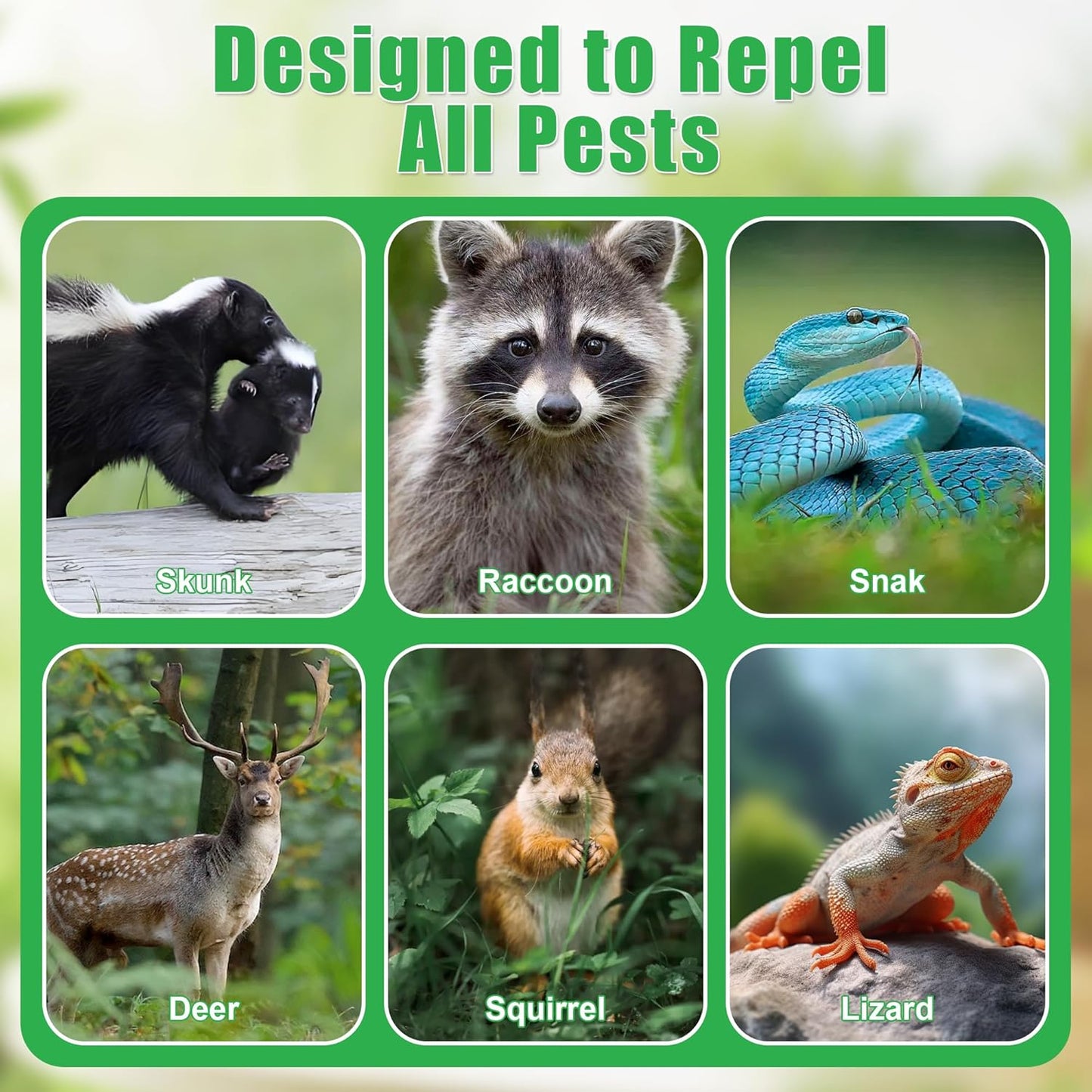 36Pack Powerful Skunk Repellent for Outdoor Use, Natural Keep Skunk & Raccoon Away Deterrent with Long-Lasting Protection for Garden Lawn Yard Camping Fishing, Safe for Kids & Pets, Waterproof