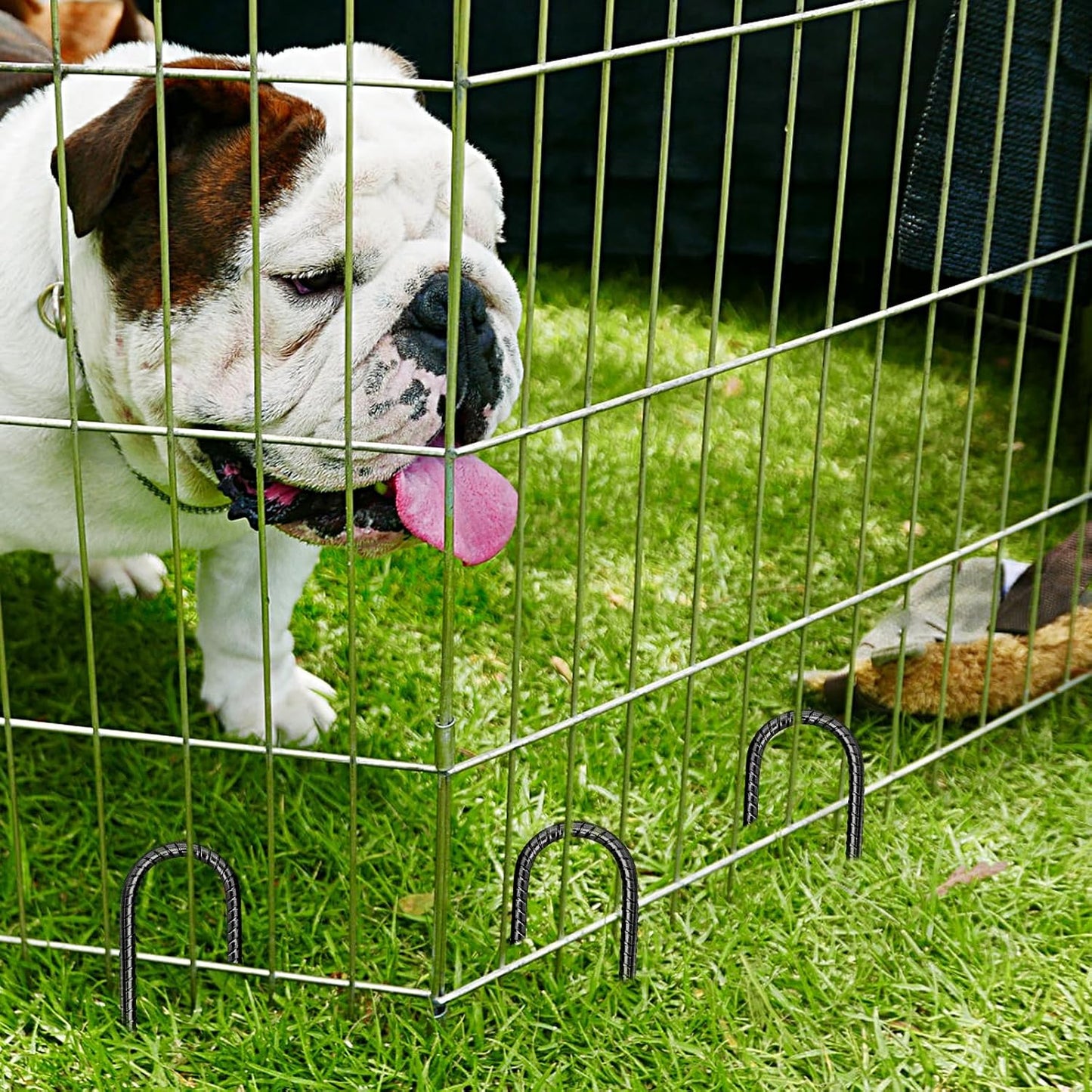 12 Inch Rebar Stakes,8 Packs Heavy Duty Metal J Hook Garden Ground Stakes for Camping Tent Canopy or Supporting for Garden Landscapes Fences Stakes(J Shape-Black, J-12 x5/16-8pcs)